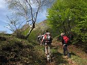 22 Foglie d'autunno e di primavera